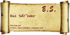 Bai Sándor névjegykártya